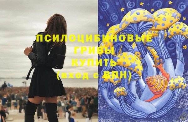 а пвп мука Магас