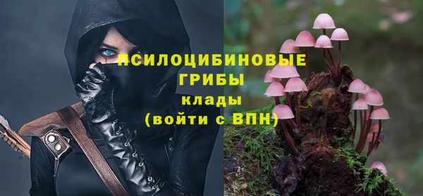 а пвп мука Магас